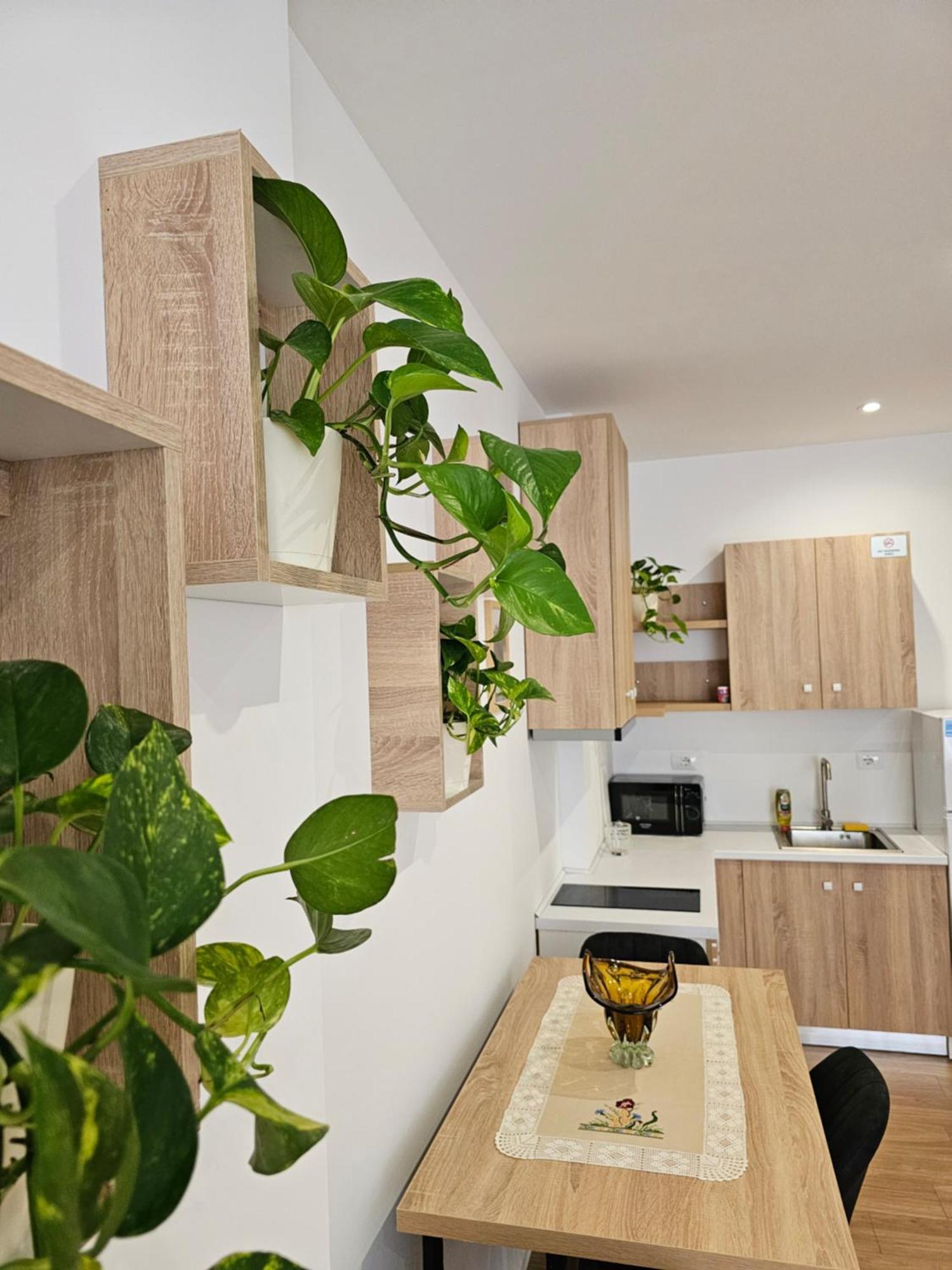 Apartment'S City Center Aquilo Tirana Exterior foto